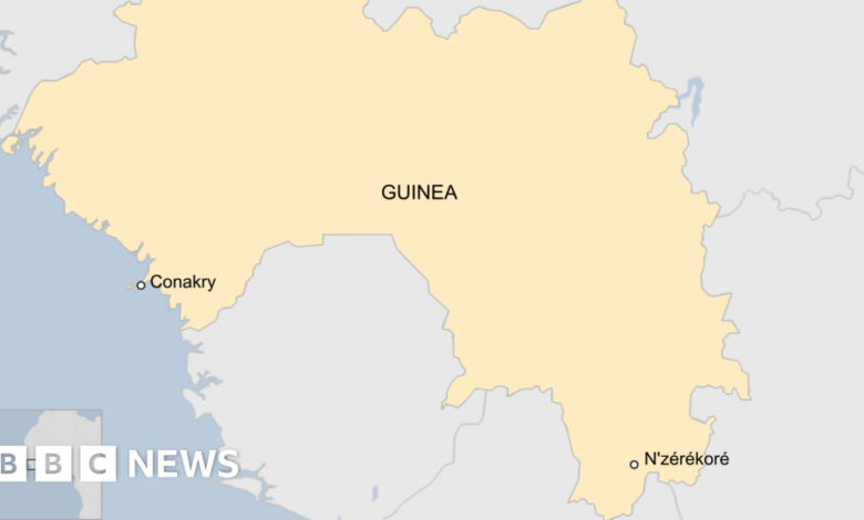 Guinea: Dozens of people died after being trampled at a soccer match