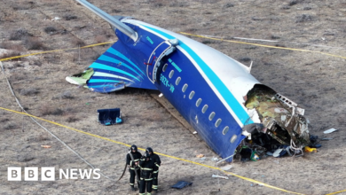 Putin apologized for the Azerbaijan Airlines crash but did not admit fault