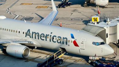 American Airlines Million Miler Lifetime Status Guide