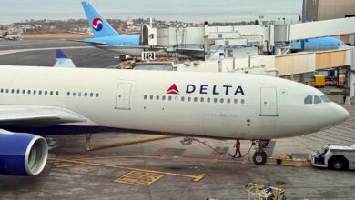 Delta Million Miler Lifetime Elite Status Guide