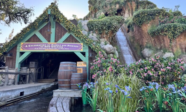 Chuyến đi mới nhất của Disneyland chứng minh rằng 'không thể tiến bộ nếu không thay đổi'