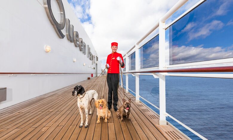 Are dogs allowed on cruise ships? Below are tours that allow pets