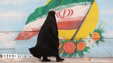 Iran temporarily suspends controversial new dress law