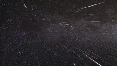 Ursids: How and when to watch the last peak meteor shower of 2024