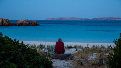 Mauro Morandi, Italy's Robinson Crusoe, dies at 85