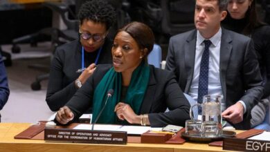 'Famine is spreading' as crisis in Sudan worsens: Security Council