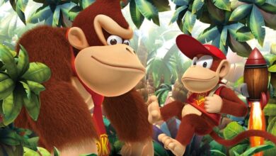 So have you pre-ordered Donkey Kong Country Returns HD for Switch yet?