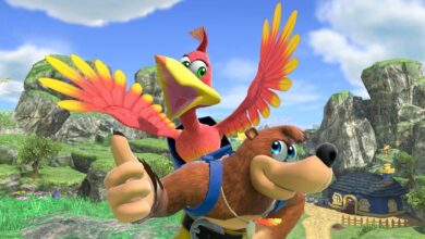 Composer Banjo-Kazooie has no hope for new work