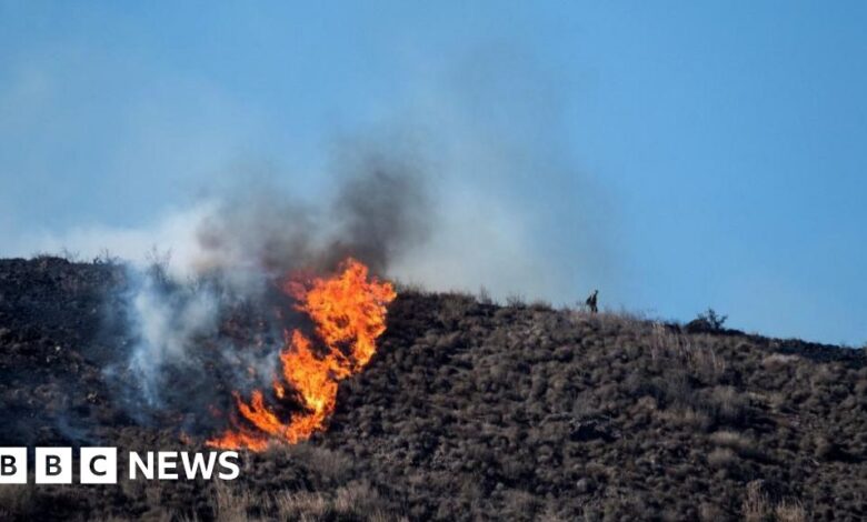 The new fire broke out in southern California before Trump's visit