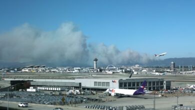 Earn 10x AAdvantage miles when donating to Red Cross wildfire relief