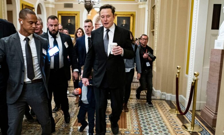 Elon Musk's PAC has helped Republicans gain a majority in Congress