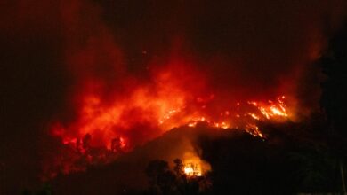 LAPD Arrests Allegedly Arsonist Suspect Accused Of Sparking Massive Kenneth Fire In Woodland Hills