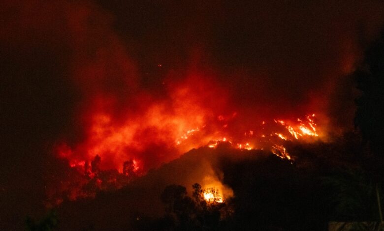 LAPD Arrests Allegedly Arsonist Suspect Accused Of Sparking Massive Kenneth Fire In Woodland Hills