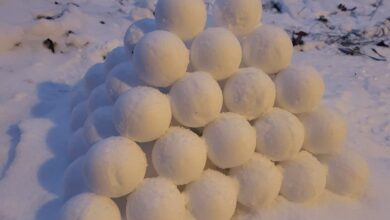 Oh Wow! 12-Year-Old Shot Multiple Times After A Snowball Hit A Passing Car