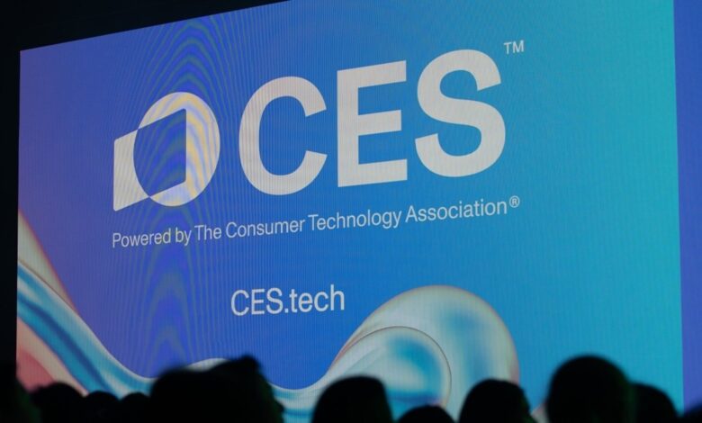 The coolest tech showcased at CES 2025