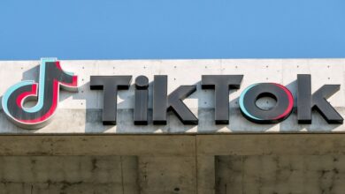 TikTok tells US users it will be shutting down 'temporarily'