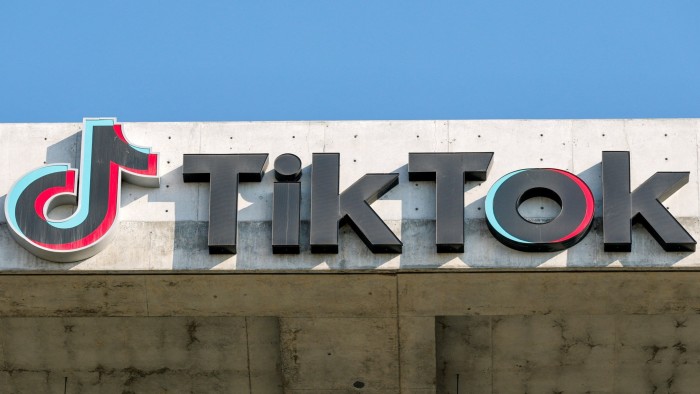 TikTok tells US users it will be shutting down 'temporarily'