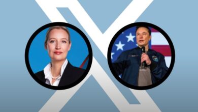 Alice Weidel and Elon Musk