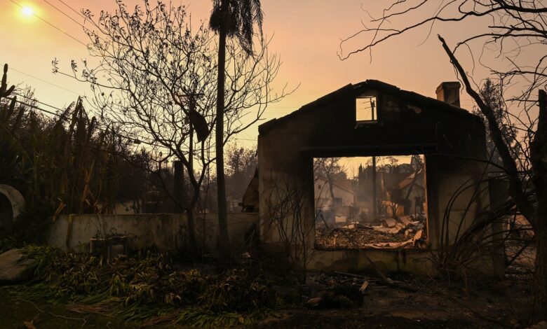 How the Los Angeles Fires Affected the Art World